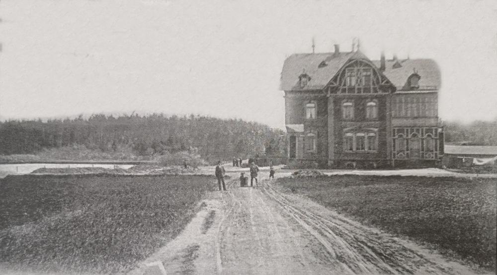 Original Image