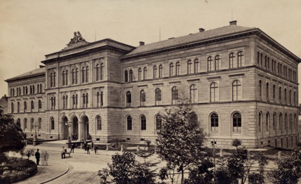 Original Image