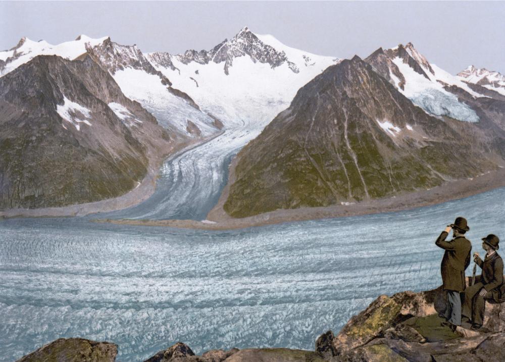 Original Image