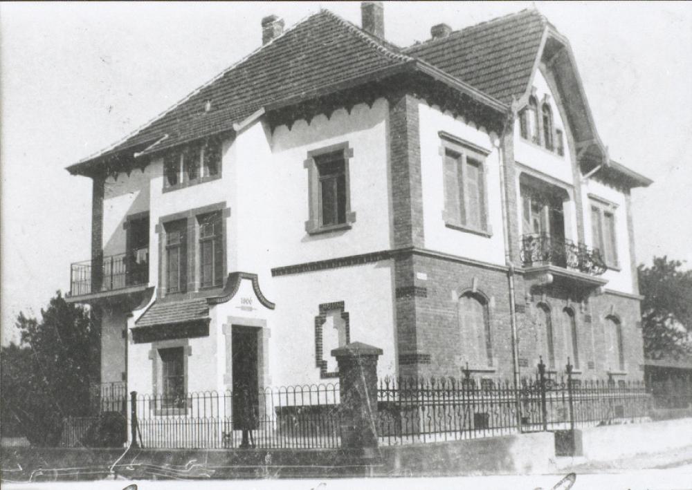 Original Image