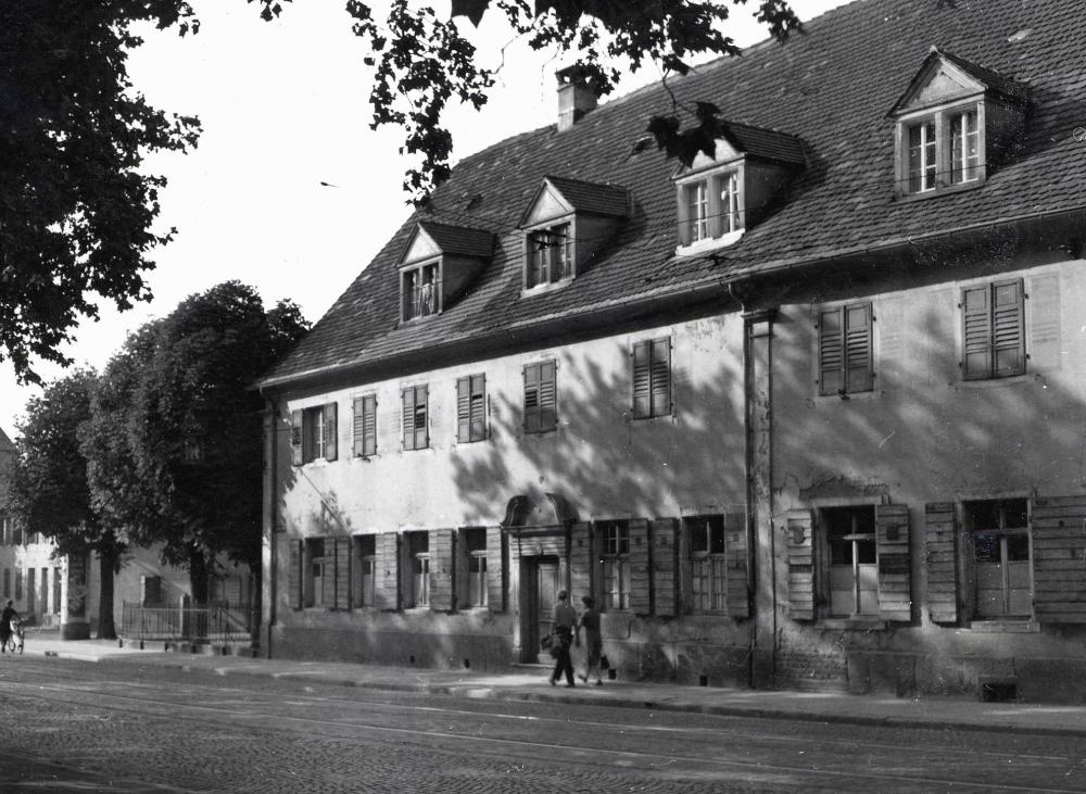 Original Image