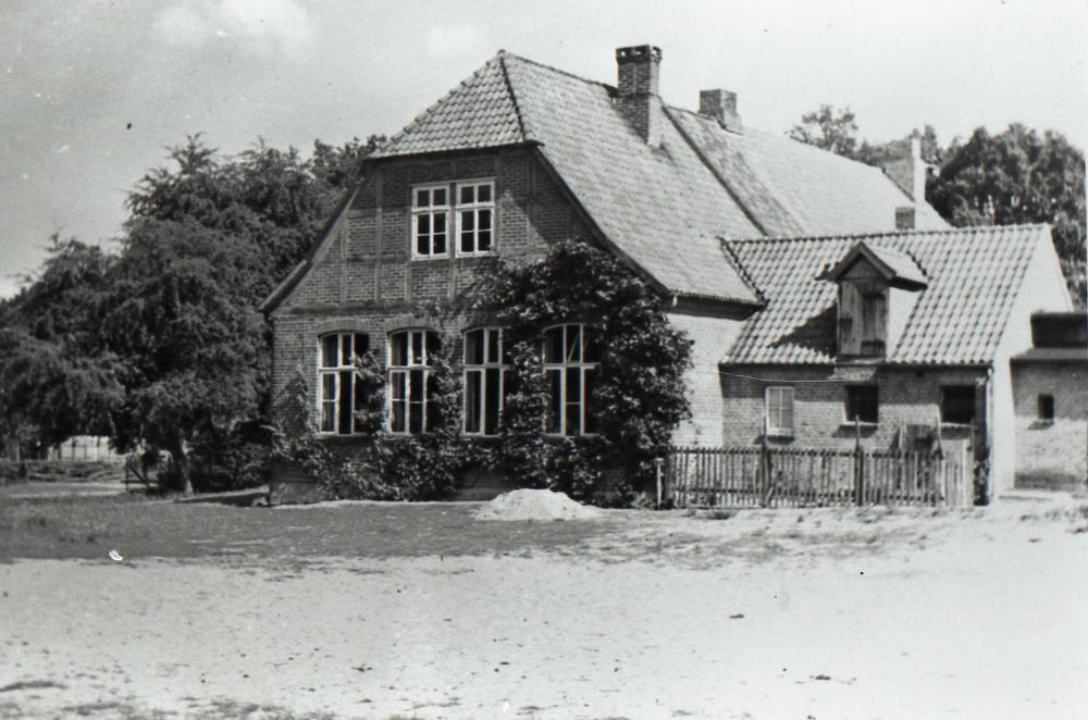 Original Image