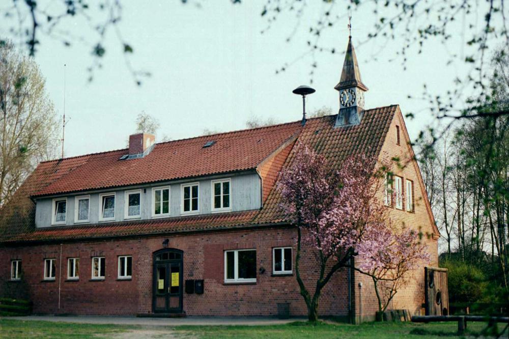 Original Image