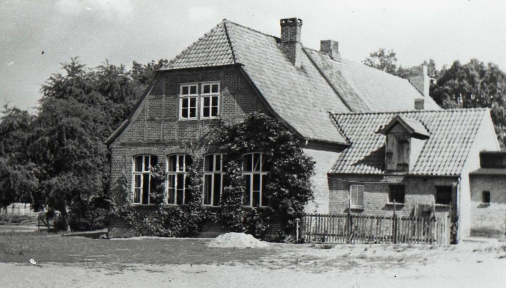 Original Image