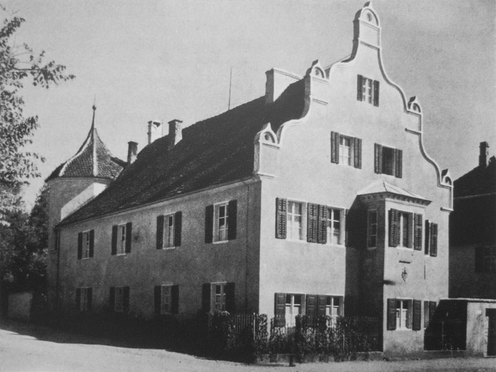 Original Image
