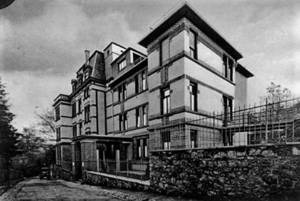 Original Image