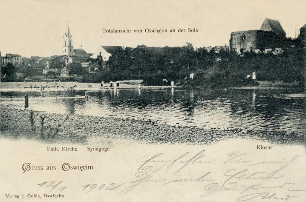 Original Image