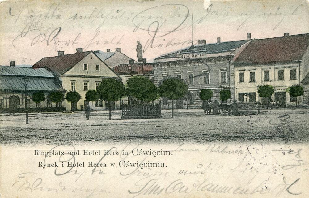 Original Image