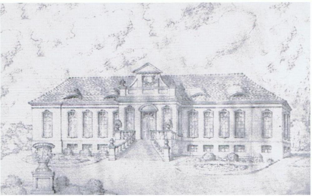 Original Image