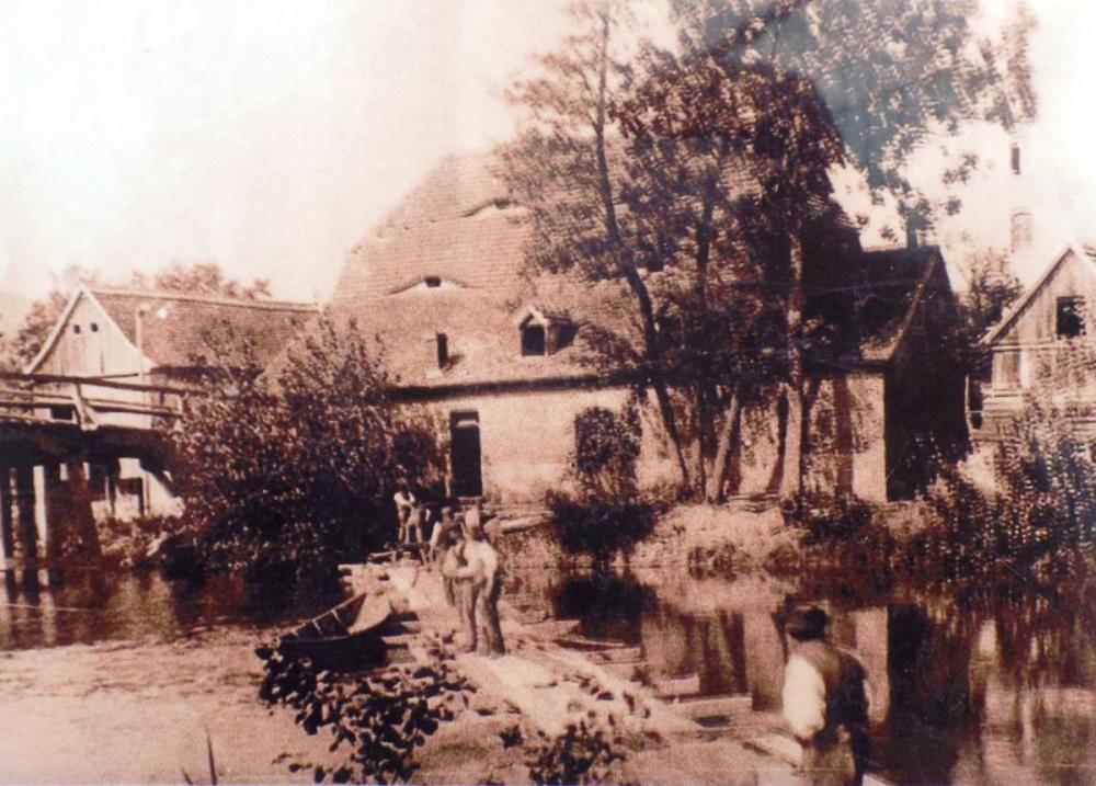 Original Image