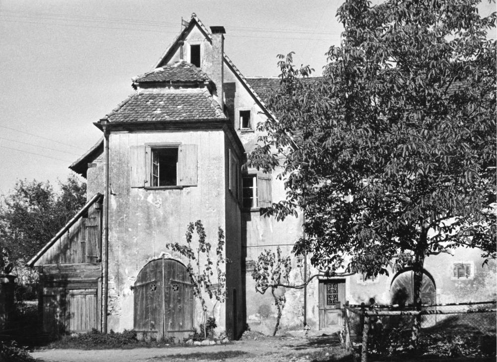 Original Image