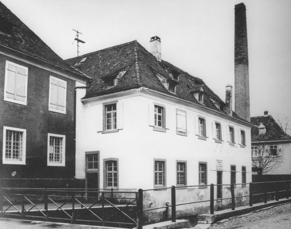 Original Image