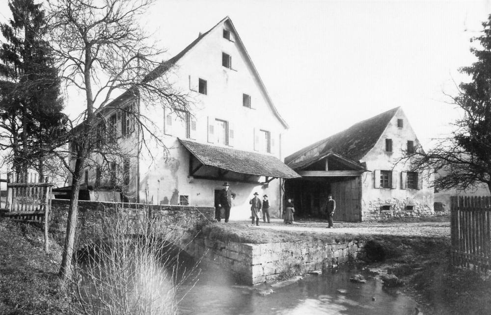 Original Image