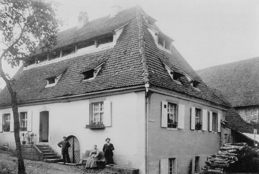 Original Image