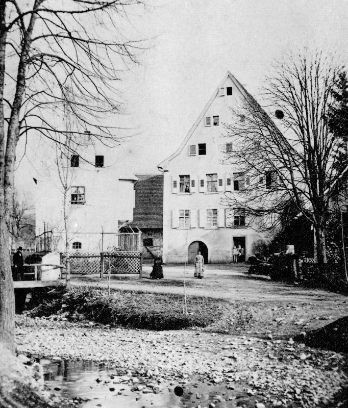 Original Image