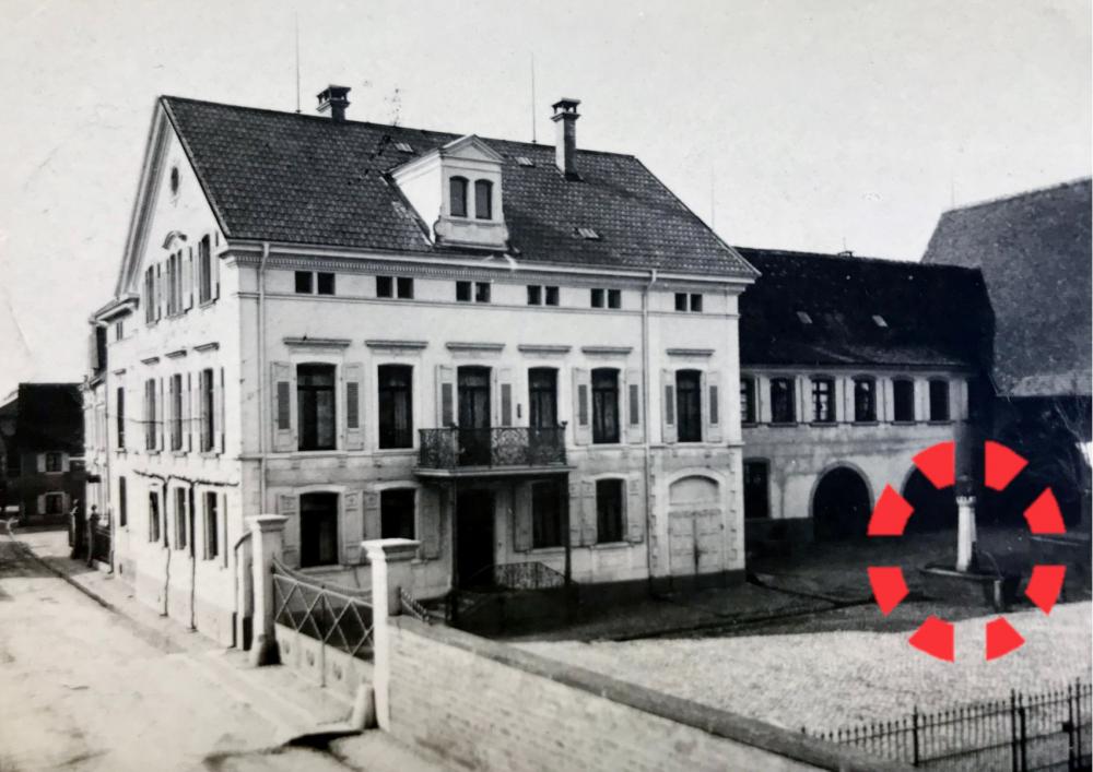 Original Image