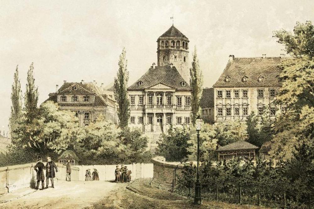 Original Image