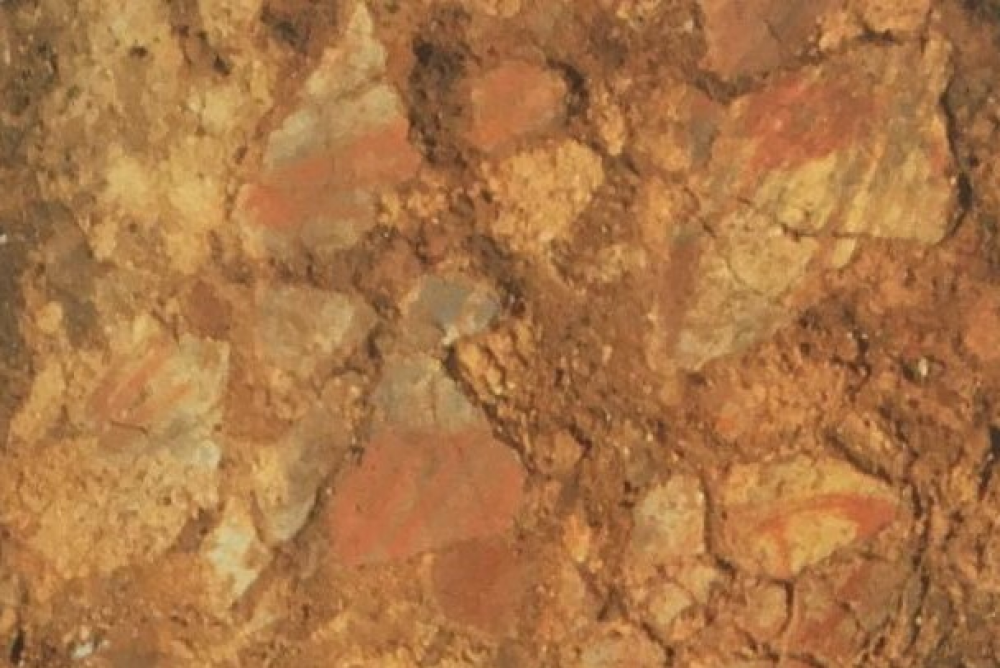 Original Image