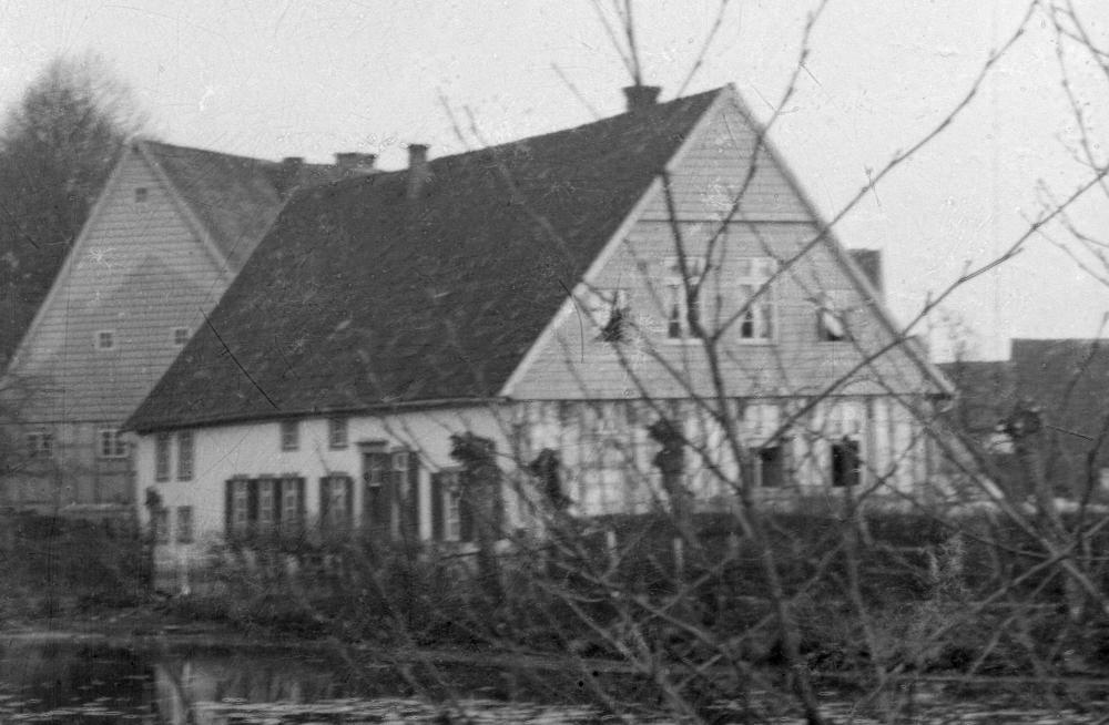Original Image