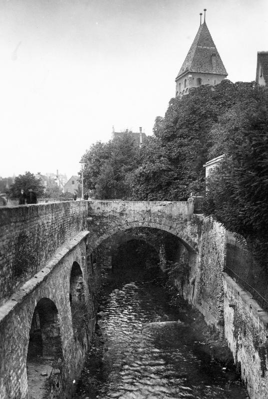 Original Image