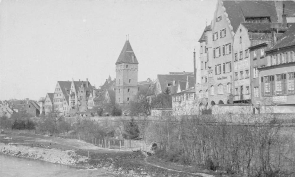 Original Image