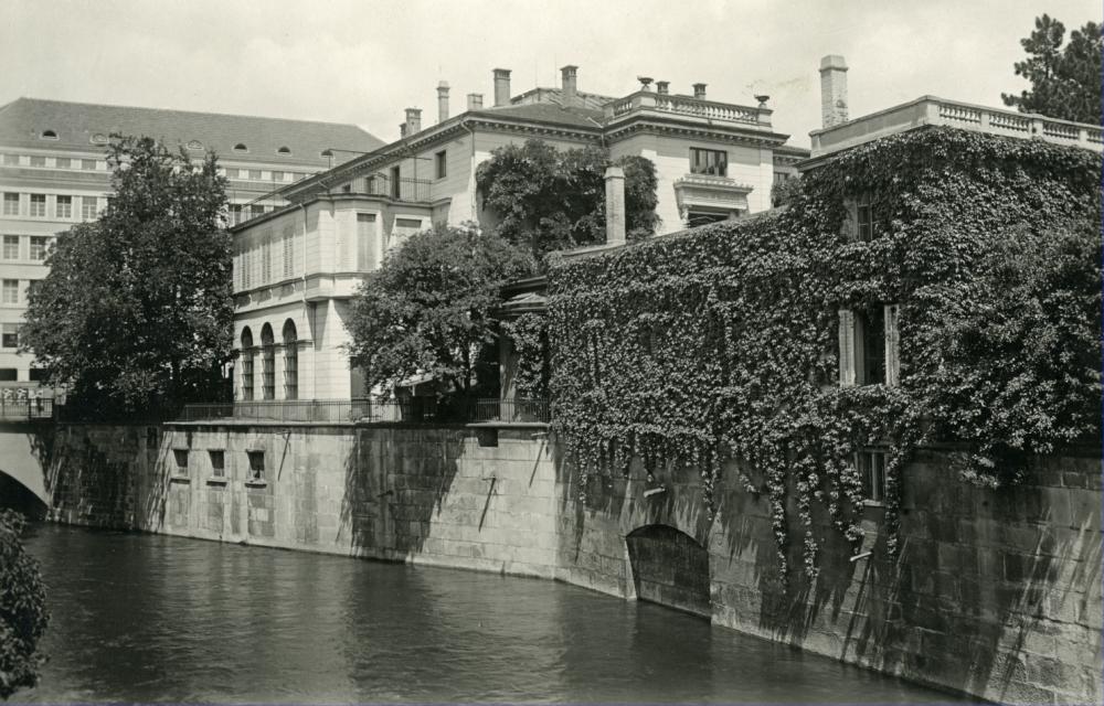 Original Image