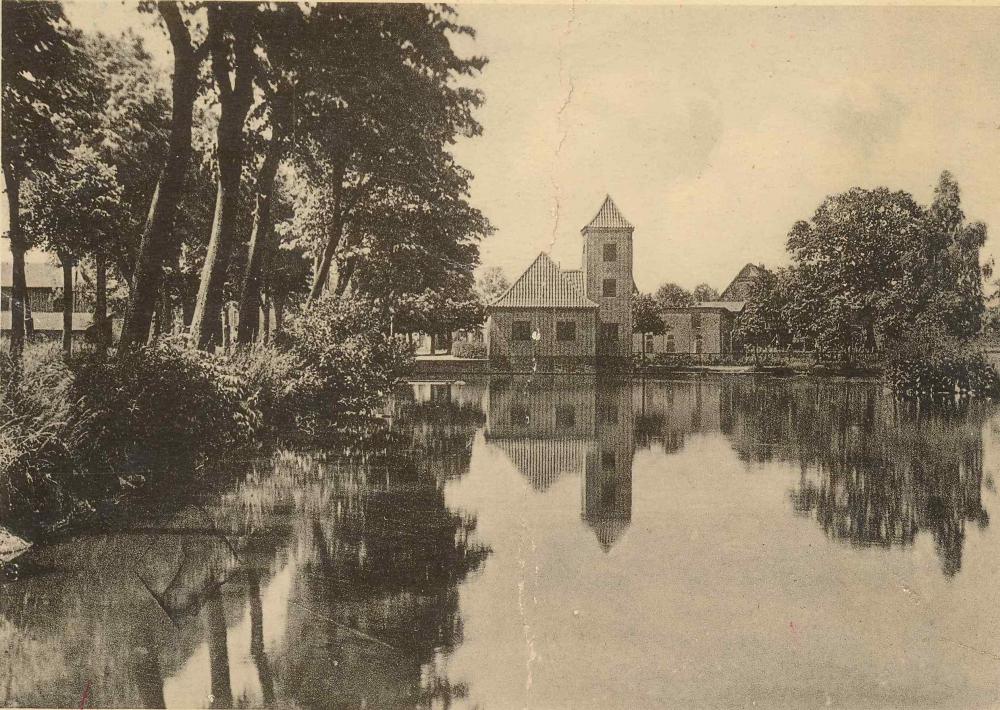 Original Image