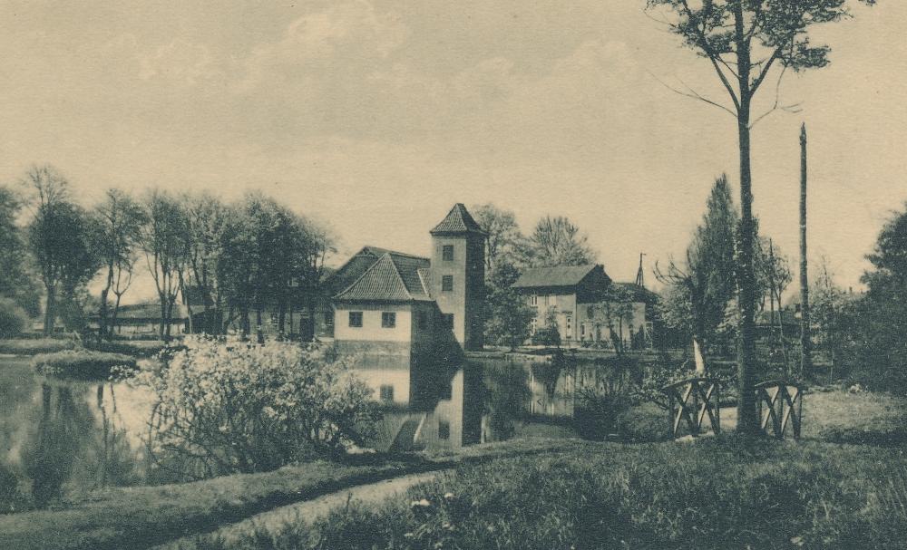 Original Image