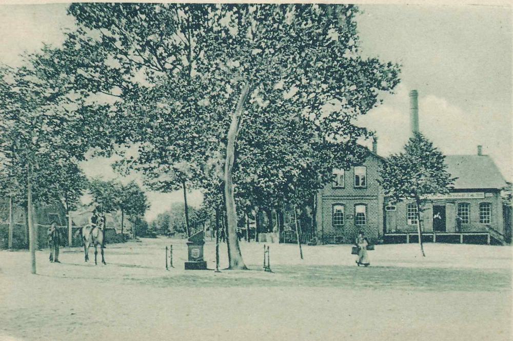 Original Image