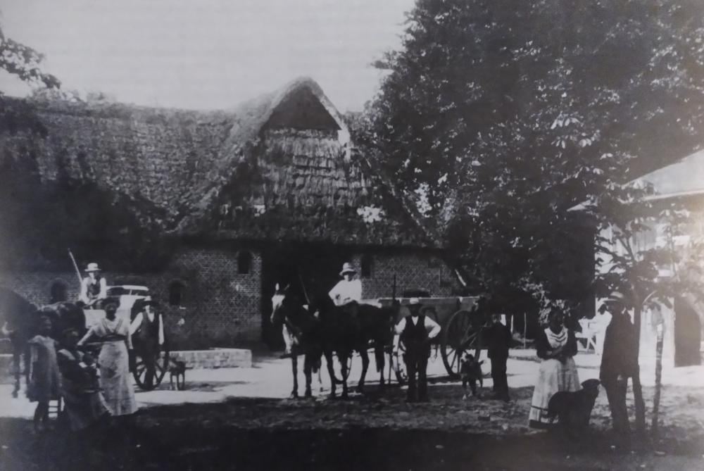Original Image