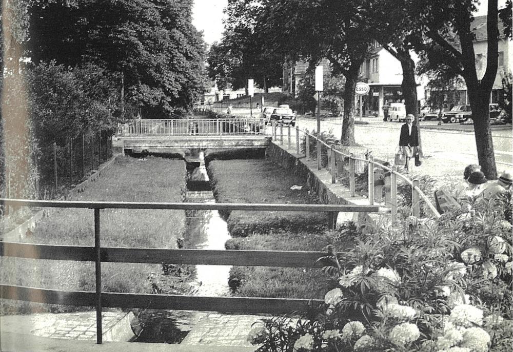 Original Image