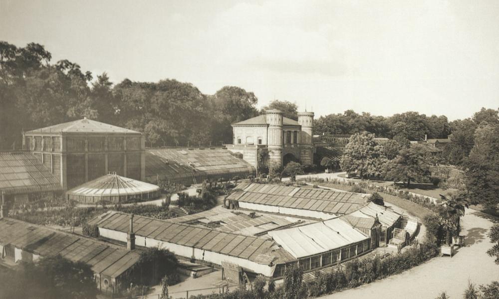Original Image