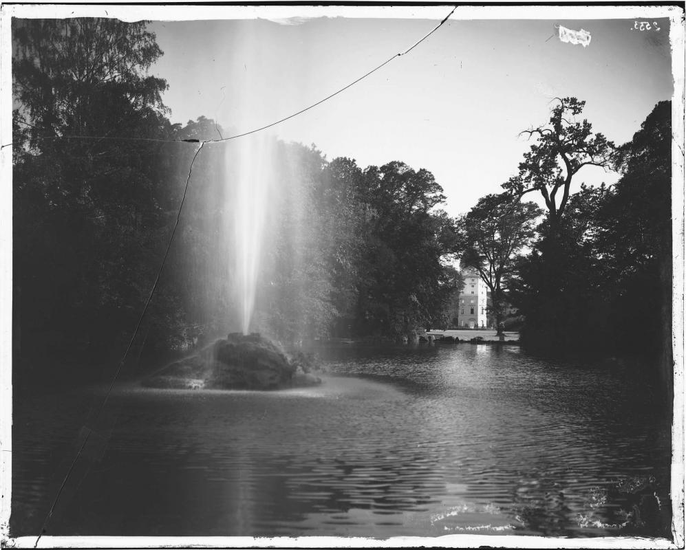 Original Image