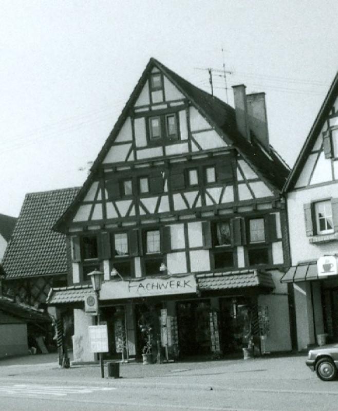 Original Image