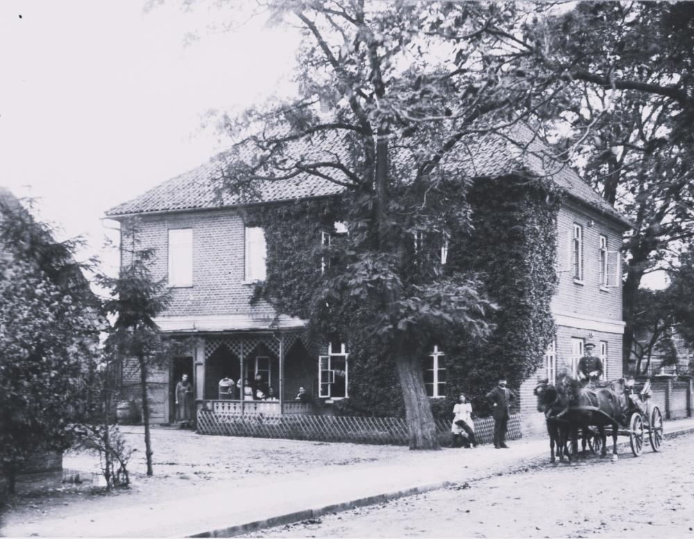 Original Image