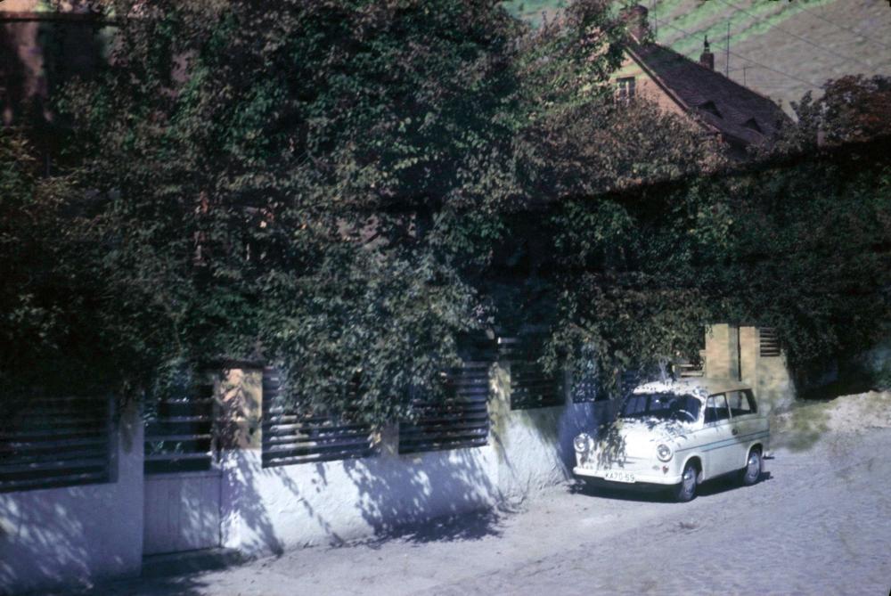 Original Image
