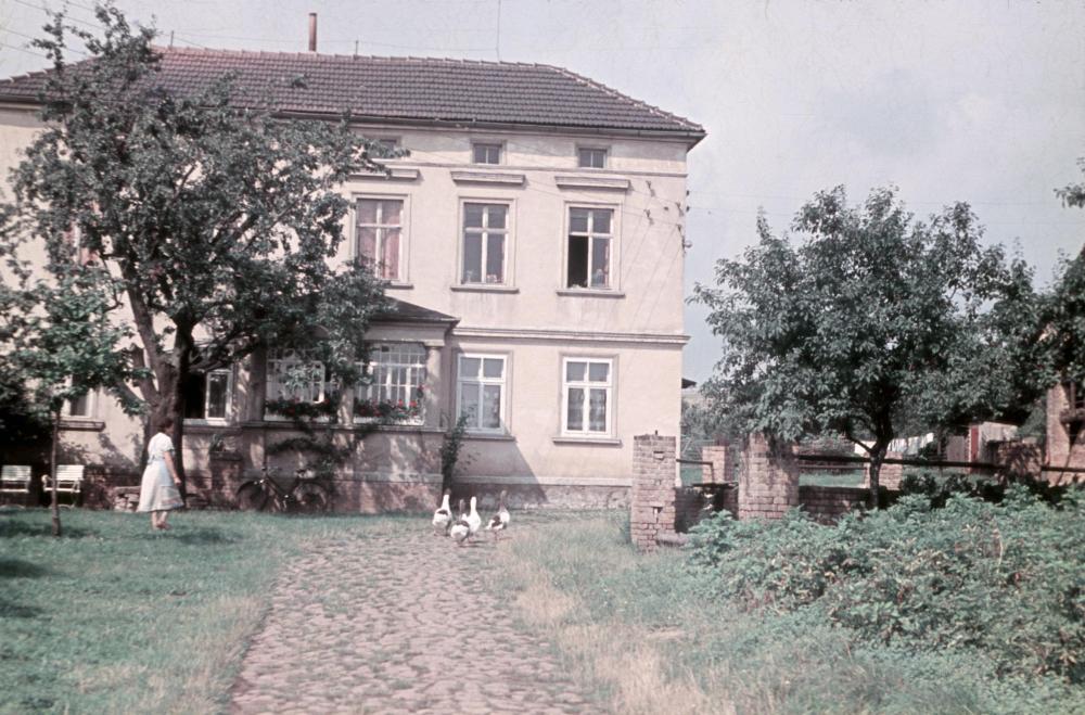 Original Image