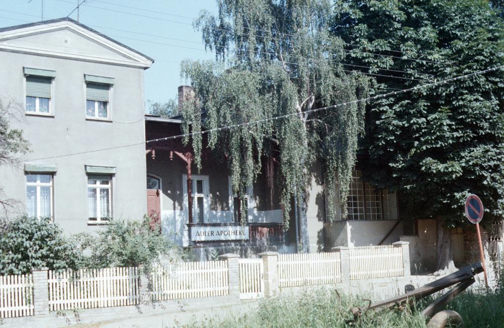Original Image