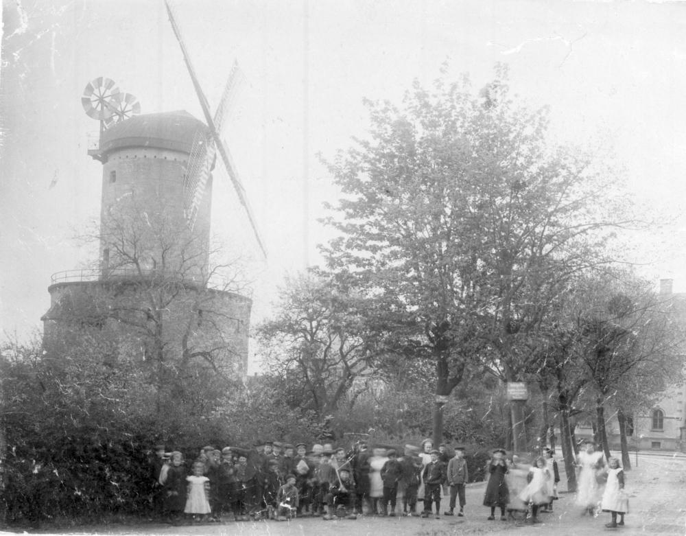 Original Image