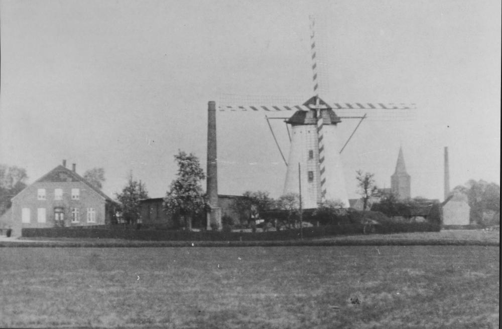 Original Image