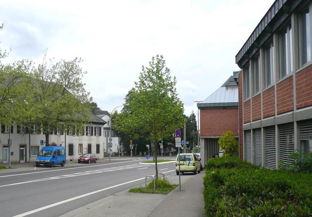 ao-185-513-1478180333.JPG