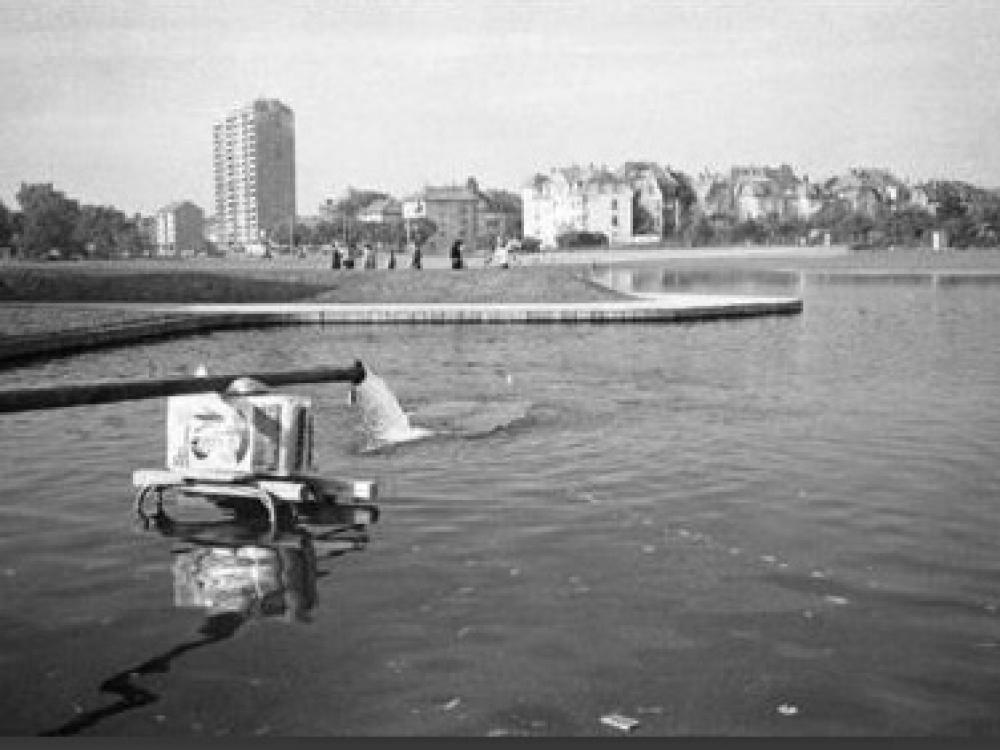 ao-7290-11747-1659280855.jpeg