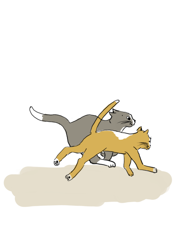 ao-8357-14835-1736451025.png
