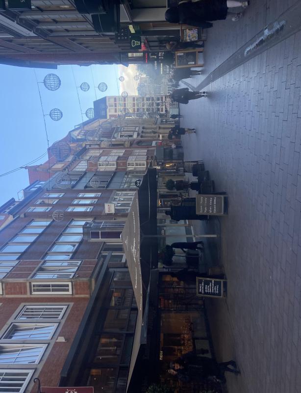 ao-7799-13504-1700204943.jpeg