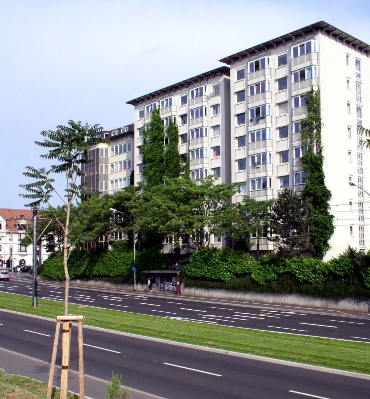 ao-185-315-1476639533.jpg